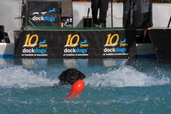 dogwater