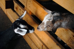 first-meeting