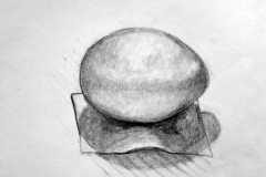 study-of-egg