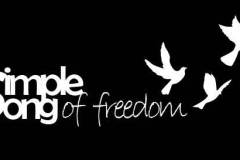 Song-of-Freedom-plain-inverted