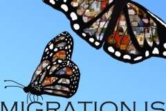 banner-right