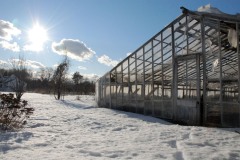 greenhouse-outside