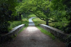 path