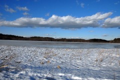 winterbeauty