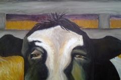 A-Wise-Cow