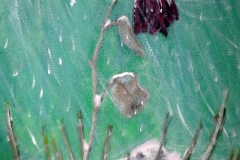 Winter-Rose