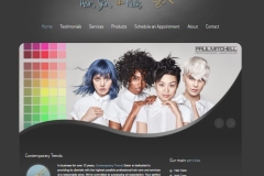 contempoary-trends-website
